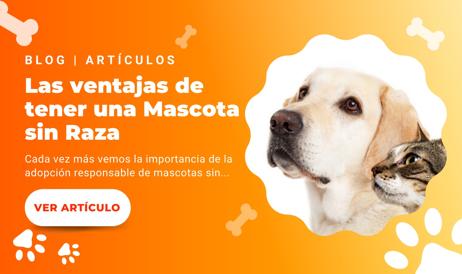 Las ventajas de tener una Mascota sin Raza